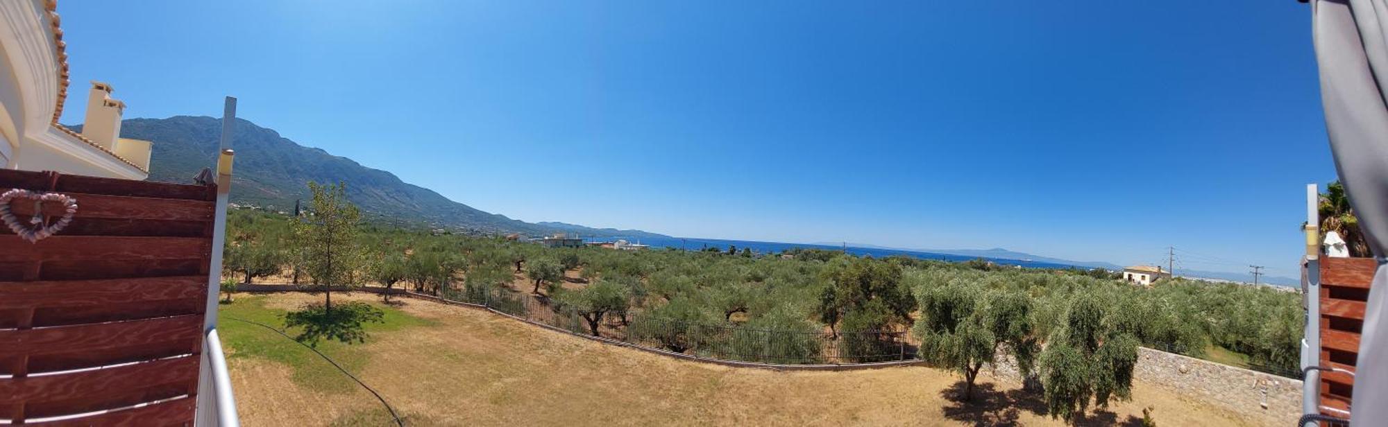 Elea Apartments Kalamata Room photo